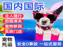 甘孜格萨尔空运地址国际宠物托运 【国